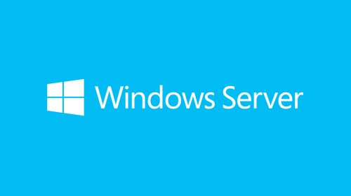 Windows 2019 Standard Server 1-User CAL dt.