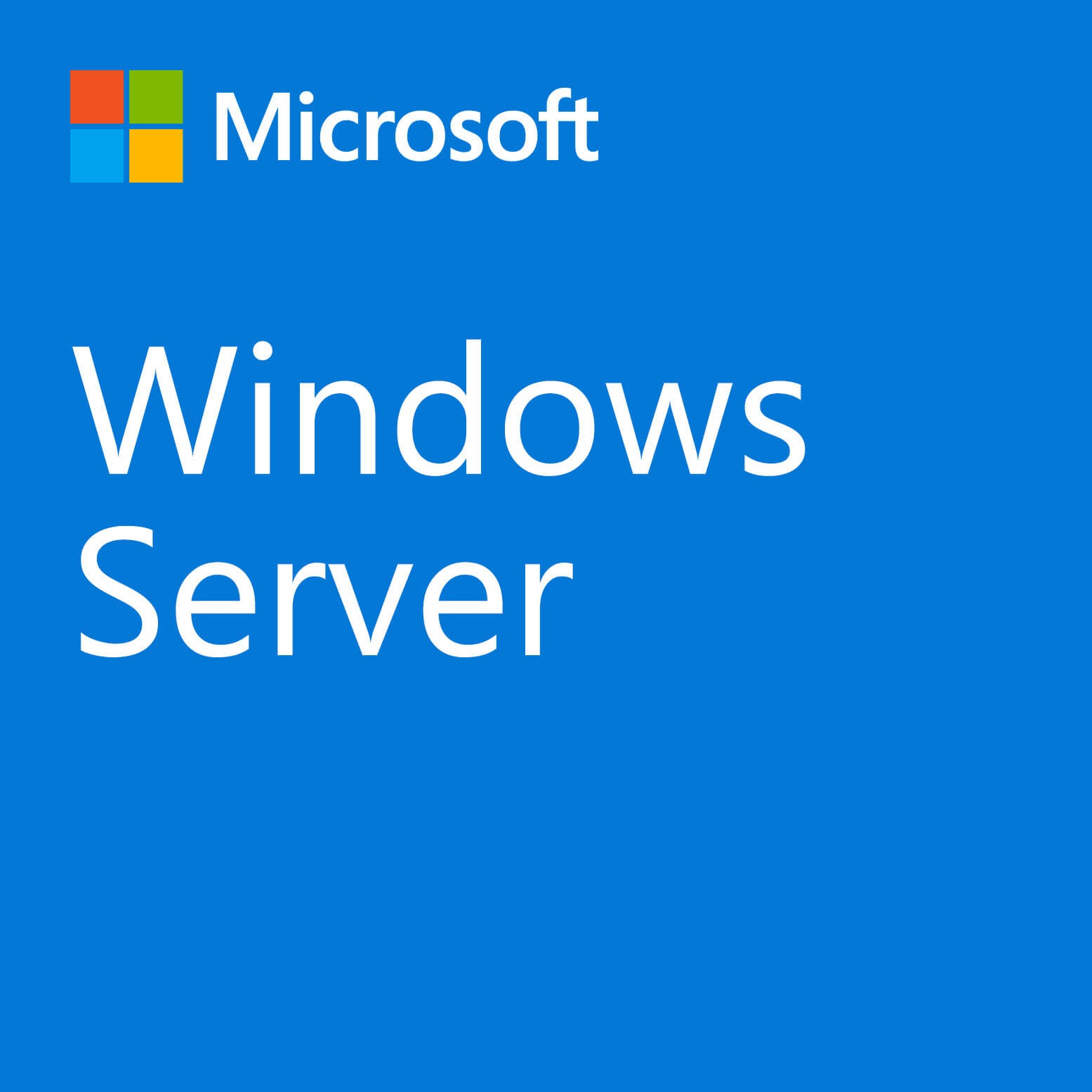 Windows 2022 Standard Server 1-User CAL dt.