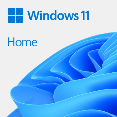 Windows 11 Home 64Bit DSP 1pk Deutsch DVD