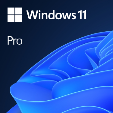 Windows 11 Pro 64Bit DSP 1pk Deutsch DVD